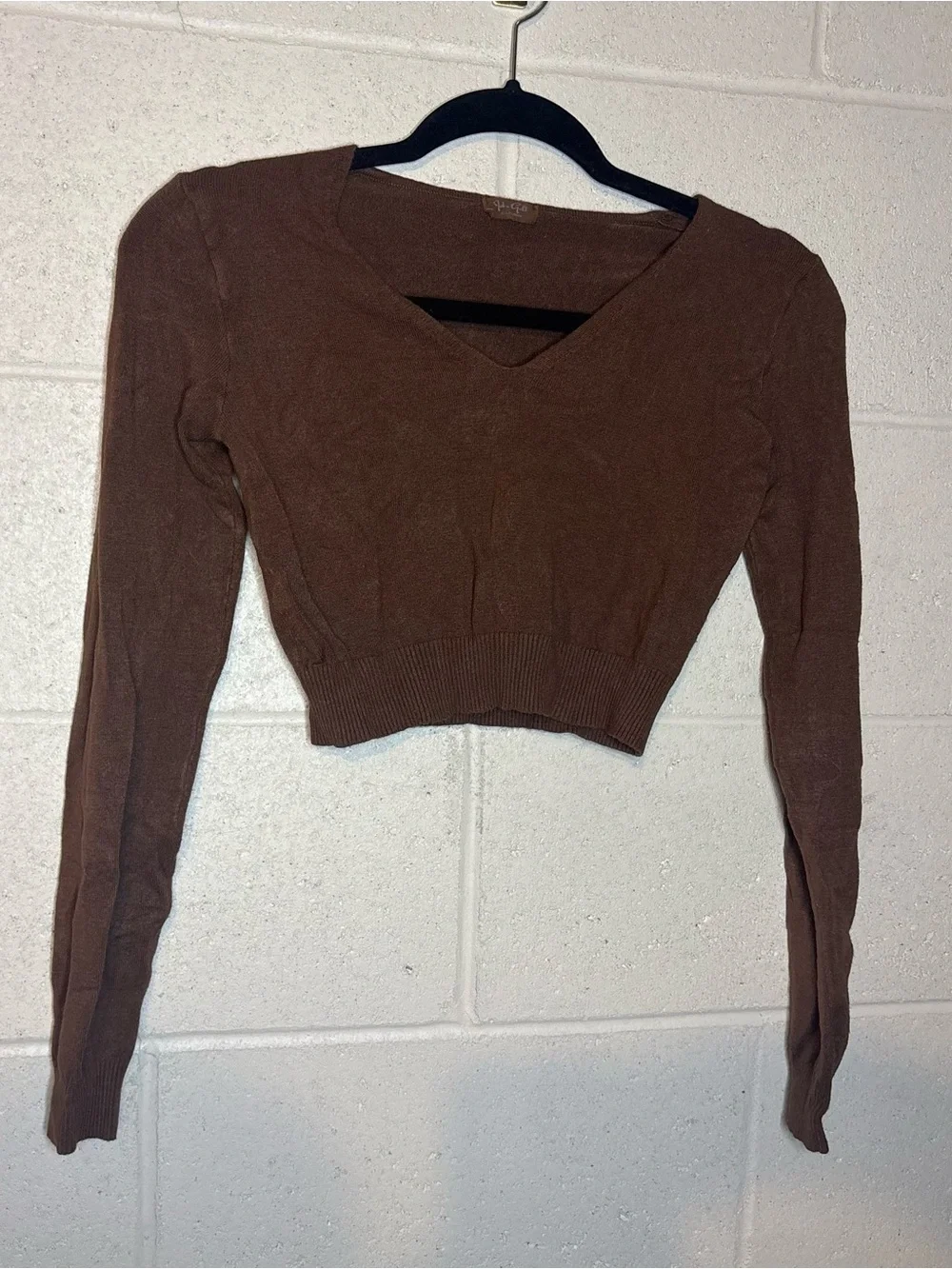 John galt brandy Melville brown viscose cropped long sleeve tee